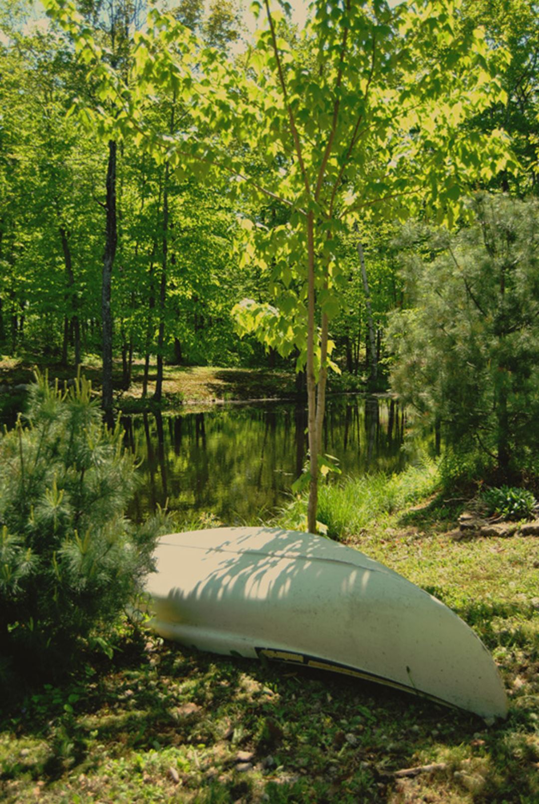 Les Tipis du sommet